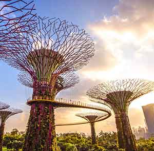 TOUR SINGAPORE MÙA THU 4N3Đ | SENTOSA - GARDEN BY THE BAY ( 1 ngày tự do)