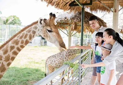 TOUR THÁI LAN MÙA THU 5N4Đ | CHECK-IN BIỂN JOMTIEN - CHỢ NỔI - SAFARI WORLD