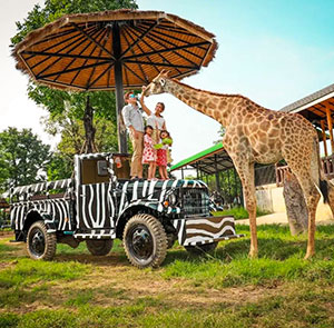 Du lịch Thái Lan mùa Thu 2024 - Safari World - Đảo Coral - Baiyoke Sky từ Sài Gòn