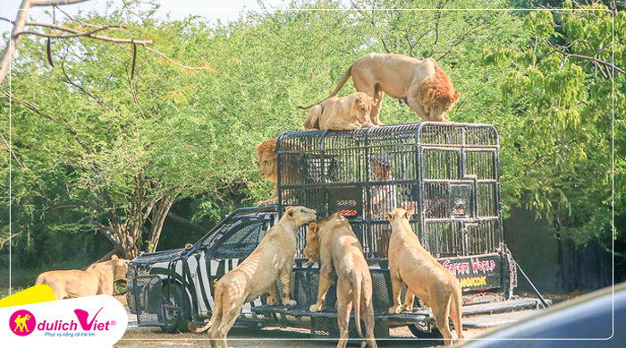 Vườn thú Hoang Dã (Safari World) 