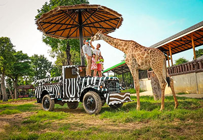 Du lịch Thái Lan mùa Thu 2024 - Safari World - Đảo Coral - Baiyoke Sky từ Sài Gòn