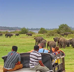 Tour Sri Lanka mùa Thu 6N5Đ | Negombo - Sigiriya -Dambulla - Kandy - Colombo (Hành trình khám phá Đảo Ngọc)