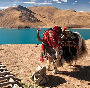 TOUR TÂY TẠNG MÙA HÈ 7N6Đ | LÂM CHI - LHASA - SHIGATSE