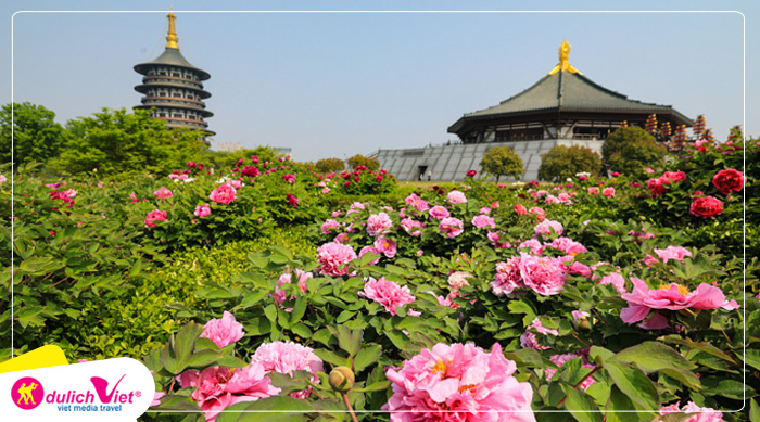 Công viên hoa mẫu đơn Hoa Mẫu Đơn
