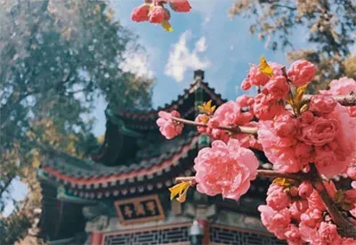 TOUR TRUNG QUỐC MÙA XUÂN 7N6Đ | THƯỢNG HẢI - TÂY Ô TRẤN - HÀNG CHÂU - BẮC KINH (Bay Vietnam Airlines)