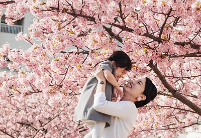 TOUR TRUNG QUỐC MÙA HOA ANH ĐÀO 7N6Đ | THƯỢNG HẢI - HÀNG CHÂU - Ô TRẤN - BẮC KINH