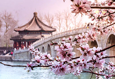 Du lịch Trung Quốc mùa Hoa Anh Đào Thượng Hải - Hàng Châu - Tô Châu - Bắc Kinh từ Sài Gòn 2024