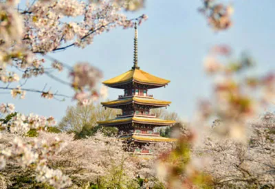 TOUR TRUNG QUỐC MÙA XUÂN 6N5Đ | VŨ HÁN - TRỊNH CHÂU - KHAI PHONG - LẠC DƯƠNG - HOA SƠN - TÂY AN (Tour Không Shopping)