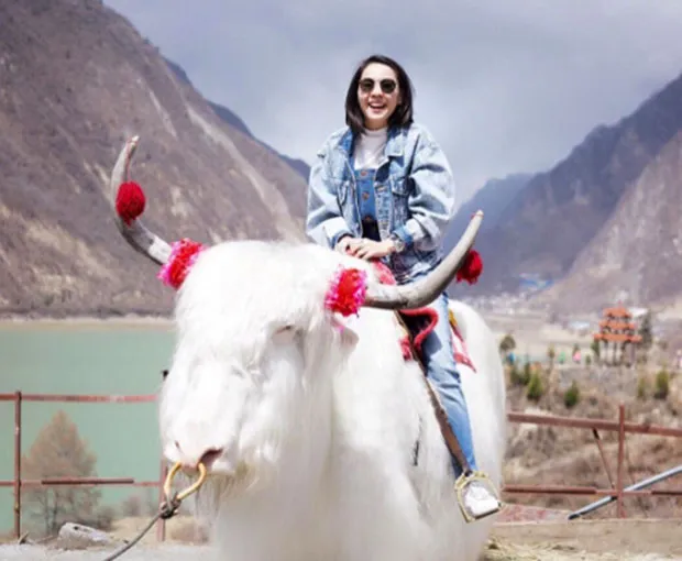 TOUR TRUNG QUỐC TẾT NGUYÊN ĐÁN 6N5Đ | ĐẠI LÝ - LỆ GIANG - SHANGRILA