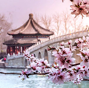 Du lịch Trung Quốc mùa Hoa Anh Đào Thượng Hải - Hàng Châu - Tô Châu - Bắc Kinh từ Sài Gòn 2024