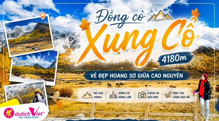 Đồng cỏ Xung Cổ (nằm ở độ cao 4180m)