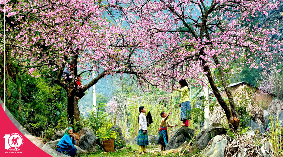 Du lịch Miền Bắc - Tour Hà Nội - Hạ Long - Sapa 5 ngày chinh phục mùa hoa Đào
