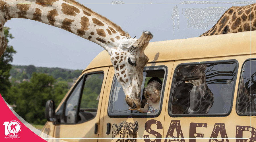 Du lịch Quy Nhơn - Eo Gió - Hòn Khô - FLC Zoo Safari 3 ngày từ Sài Gòn