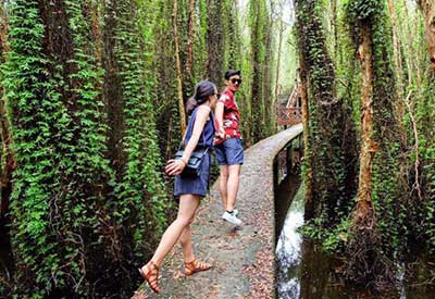 Tour Miền Tây - Khám phá con đường xuyên rừng tràm đẹp nhất Việt Nam