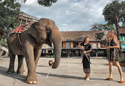 TOUR BUÔN MA THUỘT 3N3Đ | PLEIKU - KON TUM - MĂNG ĐEN