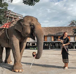 TOUR BUÔN MA THUỘT 3N3Đ | PLEIKU - KON TUM - MĂNG ĐEN
