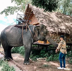 Tour Buôn Ma Thuột Lễ 2/9 | Tà Đùng - Buôn Mê Thuột