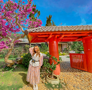 Du lịch Đà Lạt - QUÊ Garden - Đồi Chè Cầu Đất - Cafe Mê Linh - Fairytale Land từ Sài Gòn 2023