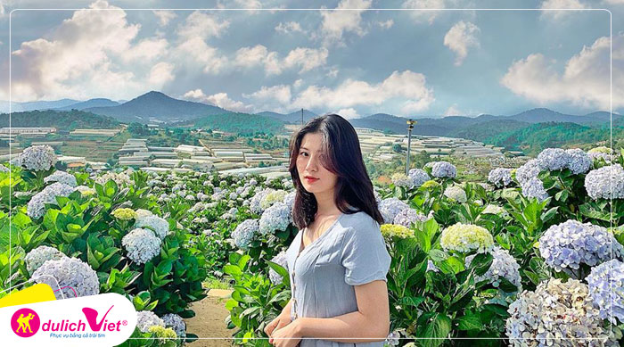Du lịch Đà Lạt - QUÊ Garden - Đồi Chè Cầu Đất - Cafe Mê Linh - Fairytale Land từ Sài Gòn 2023