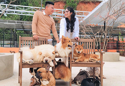 Du lịch Lễ 30/4 - Tour Đà Lạt - QUÊ Garden - Nông Trại Cún Puppy - Fairytale Land từ Sài Gòn 2022