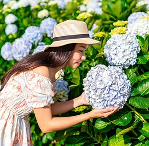 TOUR NHA TRANG - ĐÀ LẠT TẾT NGUYÊN ĐÁN 5N4Đ | 3 ĐẢO - VINWONDERS - VIEW ĐÀ LẠT