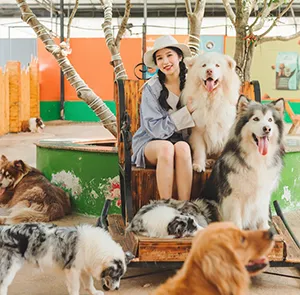 TOUR ĐÀ LẠT MÙA HÈ 3N3Đ | Quảng Trường Lâm Viên - Happy Hill - Puppy Farm