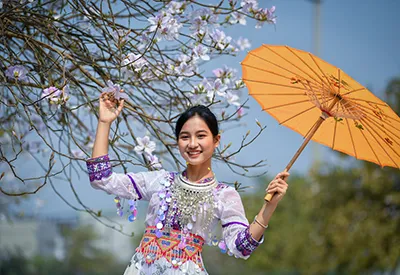 TOUR TÂY BẮC MÙA HÈ 6N5Đ | MỘC CHÂU - ĐIỆN BIÊN - SAPA - ĐỀN HÙNG