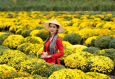 Du lịch Đồng Tháp Hè - Làng Hoa Sa Đéc - Cần Thơ từ Sài Gòn 2025