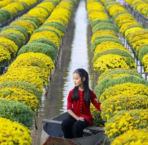 TOUR MIỀN NAM TẾT DƯƠNG LỊCH 2N1Đ | ĐỒNG THÁP - LÀNG HOA SA ĐÉC - CẦN THƠ