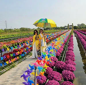 TOUR ĐỒNG THÁP - CẦN THƠ TẾT NGUYÊN ĐÁN 2N1Đ | Về Xứ Hoa Kiểng Miền Tây - Làng hoa Sa Đéc