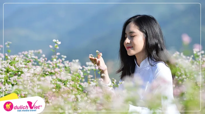 TOUR ĐÔNG BẮC 6N5Đ MÙA HOA DÃ QUỲ | HÀ NỘI - HẠ LONG - HÀ GIANG - ĐỒNG VĂN - LŨNG CÚ