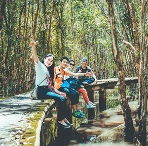 Du lịch Long An - Khám Phá Con Đường xuyên rừng tràm đẹp nhất Việt Nam từ Sài Gòn