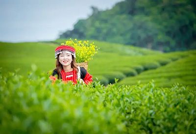 Du lịch Tây Bắc Lễ 30/4 - Hà Nội - Mộc Châu - Điện Biên - Sapa từ Sài Gòn 2026