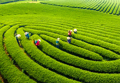 Du lịch Đông Bắc Hè - Hà Nội - Mộc Châu - Hà Giang - Lũng  Cú - Sông Nho Quế  từ Sài Gòn 2025