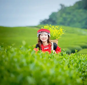 Du lịch Tây Bắc Lễ 30/4 - Hà Nội - Mộc Châu - Điện Biên - Sapa từ Sài Gòn 2026