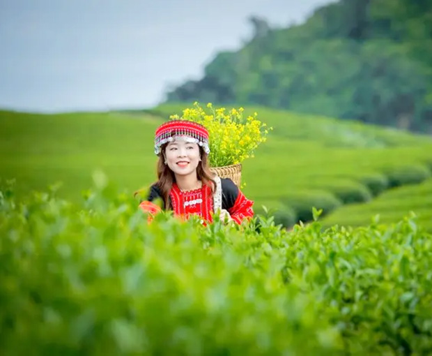tour du lịch giá rẻ