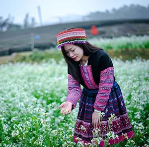 TOUR MIỀN BẮC LỄ 30/4 | MAI CHÂU - MỘC CHÂU - NINH BÌNH (4N3Đ)