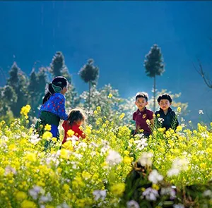 TOUR TÂY BẮC TẾT DƯƠNG LỊCH 6N5Đ | MỘC CHÂU - ĐIỆN BIÊN - SAPA - ĐỀN HÙNG