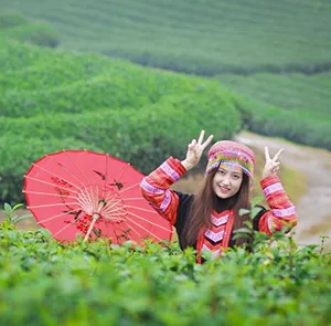 TOUR MIỀN BẮC MÙA XUÂN 4N3Đ | MAI CHÂU - MỘC CHÂU - NINH BÌNH