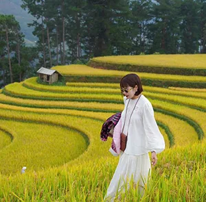 Tour Miền Bắc 5N4Đ| Hà Nội - Vịnh Hạ Long - Tú Lệ - Mù Căng Chải (Mùa Lúa Chín)