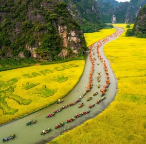 Tour Tại Điểm Ninh Bình 2N1Đ | Hoa Lư - Tam Cốc - Hang Múa - Vườn Quốc Gia Cúc Phương