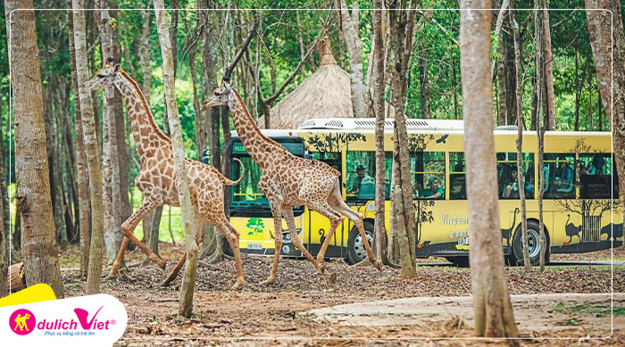 Combo Du lịch Phú Quốc Khách sạn 5 Sao Vinperal Resort từ Sài Gòn 2024