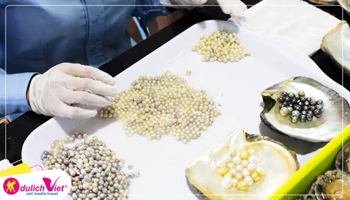 Ngọc trai cao cấp Phú Quốc