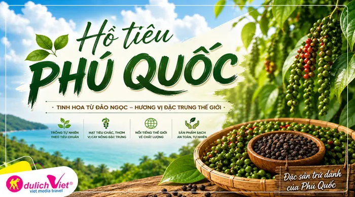 Hồ tiêu Phú Quốc: tìm hiểu về cách trồng tiêu tại vườn