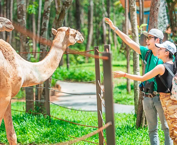 TOUR PHÚ QUỐC HÈ 3N2Đ | GRAND WORLD - VINWONDERS - SAFARI - CÁP TREO HÒN THƠM