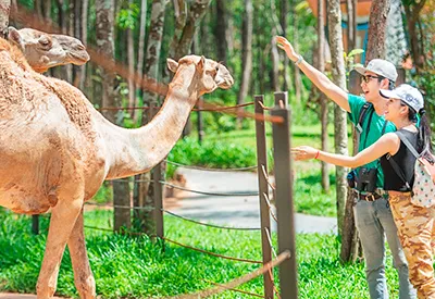 TOUR PHÚ QUỐC HÈ 3N2Đ | GRAND WORLD - VINWONDERS - SAFARI - CÁP TREO HÒN THƠM