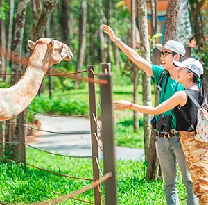 TOUR PHÚ QUỐC HÈ 3N2Đ | GRAND WORLD - VINWONDERS - SAFARI - CÁP TREO HÒN THƠM