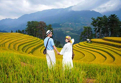 Du lịch Tây Bắc - Hà Nội - Sapa - Mù Cang Chải - Mùa Lúa Chín từ Sài Gòn 2025