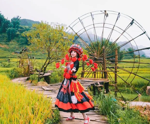 TOUR MIỀN BẮC MÙA HÈ 6N5Đ | HÀ NỘI - VỊNH HẠ LONG - TRÀNG AN - NINH BÌNH - SAPA | ĐẶC QUYỀN GIÁ SUN PHUQUOC AIRWAYS