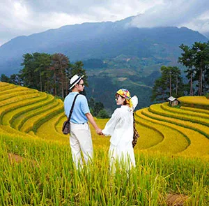 Du lịch Tây Bắc - Hà Nội - Sapa - Mù Cang Chải - Mùa Lúa Chín từ Sài Gòn 2025